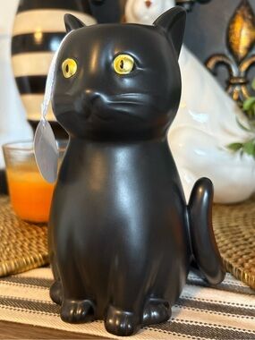 🆕Overjoyed Boutique Black Cat Ceramic Vase